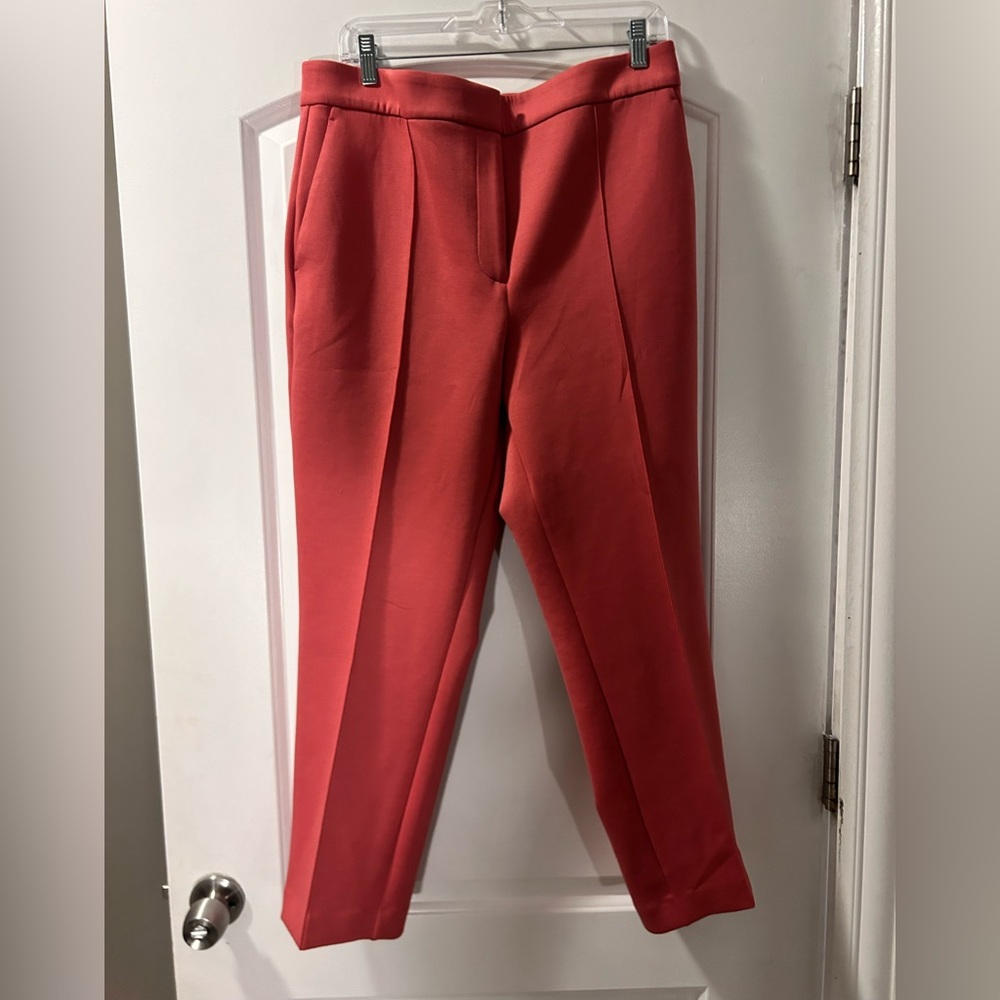 Ann Taylor The Ankle Curvy High Rise Size 14 NWT